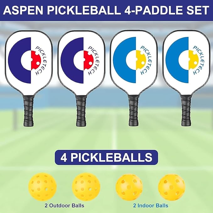 Portable Pickleball Net - 22 FT USAPA Regulation Size, Applies to Indoor & Outdoor & Driveway, Pickle Ball Net System with Carrying Bag